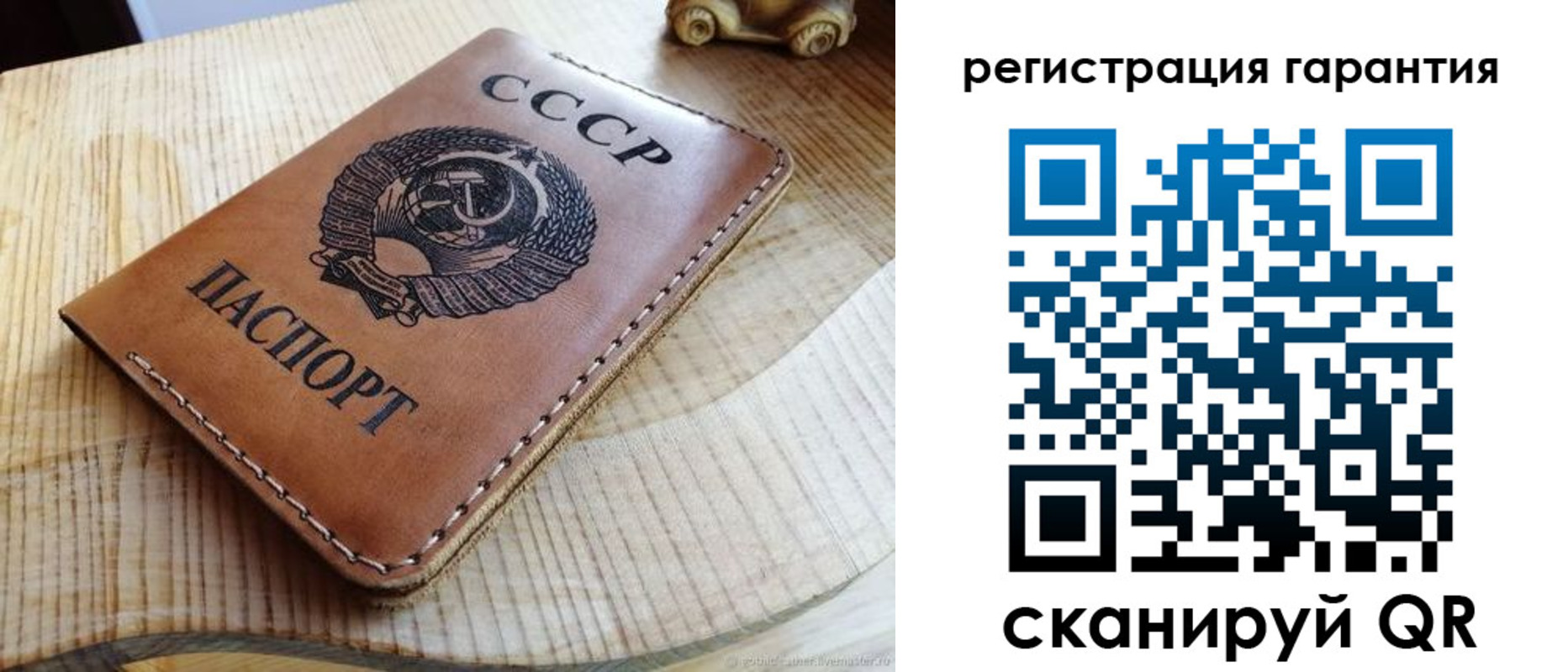 прописка 2025 в Светлогорске