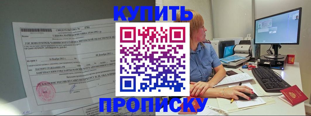 пропишу в квартире в Светлогорске